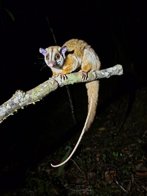 Ingaru Amazon Lodge Nature lodge in Napo, Ecuador