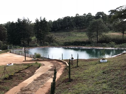 Cabanas la puente Villa in Mazamitla