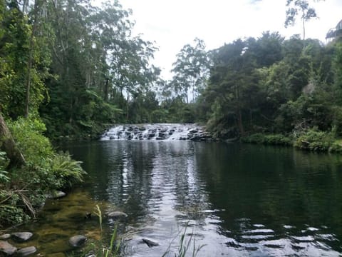 Kiwi Sanctuary Modern, Sleeps 9, Spa Pool House in Northland