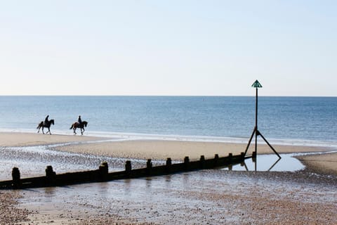 Beachfront House w Pool & Steam House in West Wittering