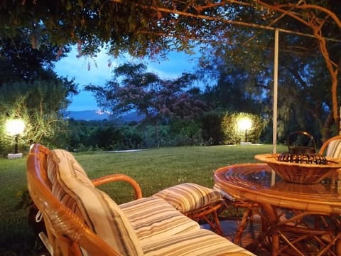 Patio, Night, Natural landscape, Garden, Seating area, Garden view