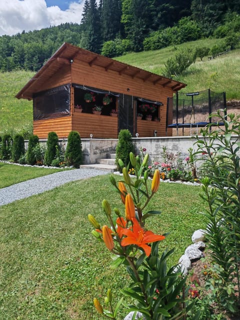 Cabana Lazea House in Cluj County