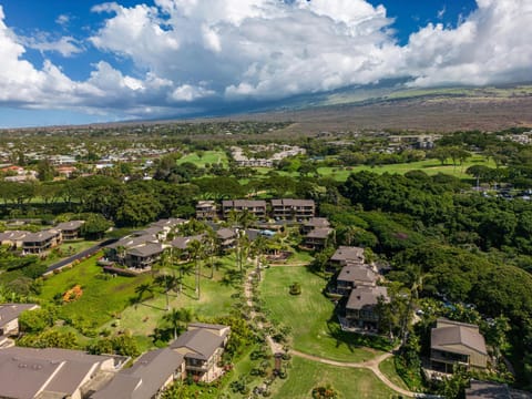 Elua 704 House in Wailea