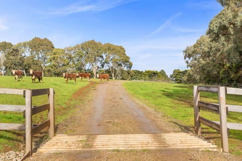 Montana Ranch House in Flinders