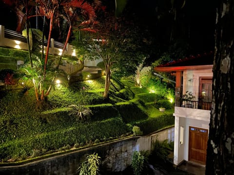 Night, Garden, Garden view