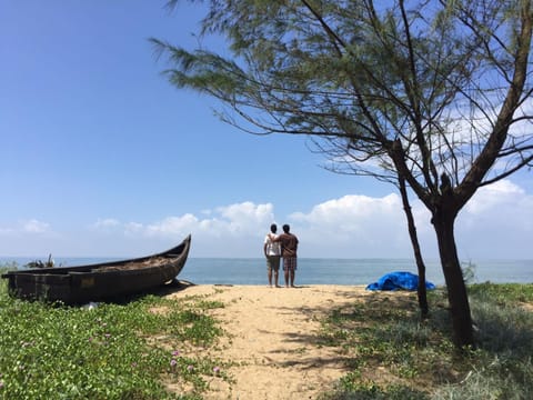 Natural landscape, Beach, Sea view