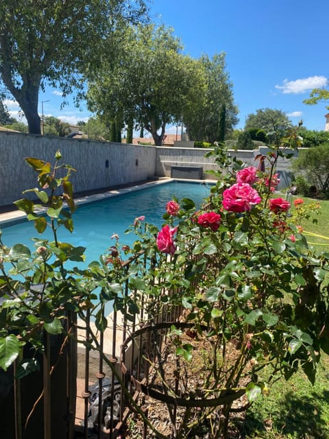 Garden, Pool view