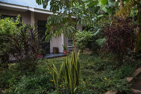 Property building, Spring, Day, Garden, Garden view