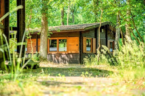 Property building, Day, Natural landscape, Garden, Garden view