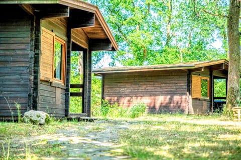 Property building, Day, Natural landscape, Garden, Garden view