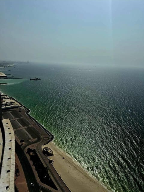 Natural landscape, Bird's eye view, Sea view