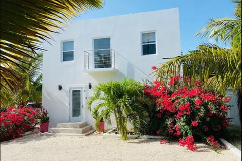 Property building, Garden view