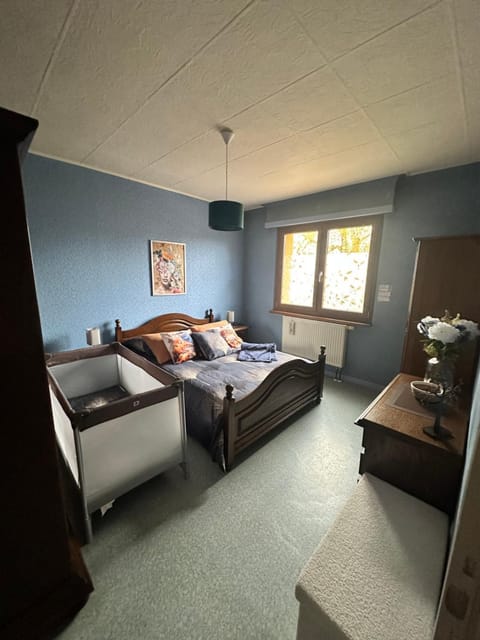 Grand appartement au cœur de la région alsacienne Apartment in Haguenau