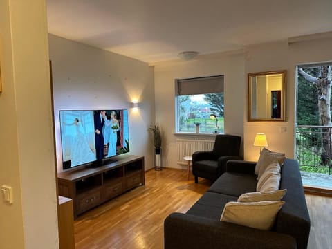 TV and multimedia, Living room, Seating area, Evening entertainment