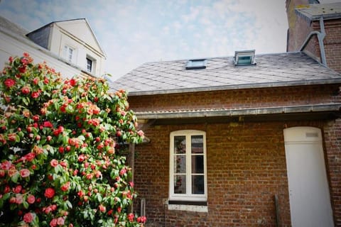 Property building, Garden view