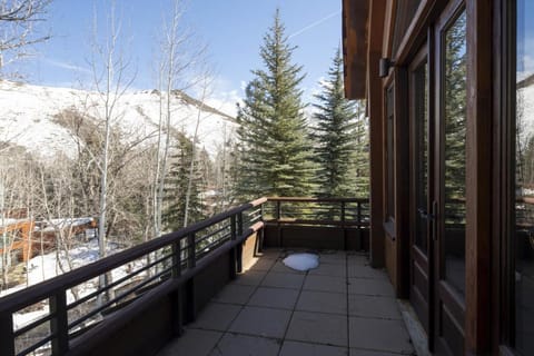 Exclusive Trail Creek Residence In Ketchum House in Ketchum