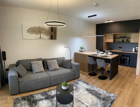 Kitchen or kitchenette, Living room, Seating area, Dining area, washing machine
