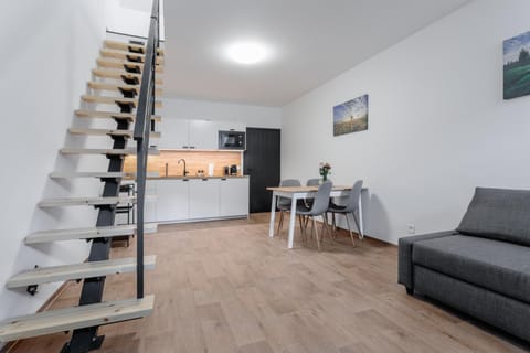 Apartmány Stříbrná Liška Apartment hotel in Saxony