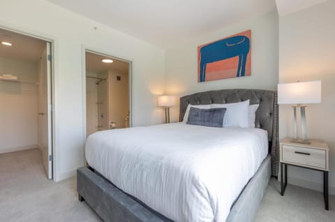 Luxury Apt Near Charles River - TS-806 Apartment in Cambridge