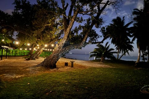 Night, Natural landscape, Beach, Garden view