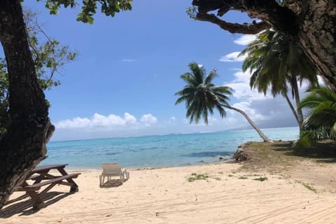 Natural landscape, Beach, Sea view