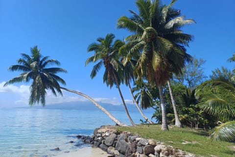 Natural landscape, Beach, Sea view