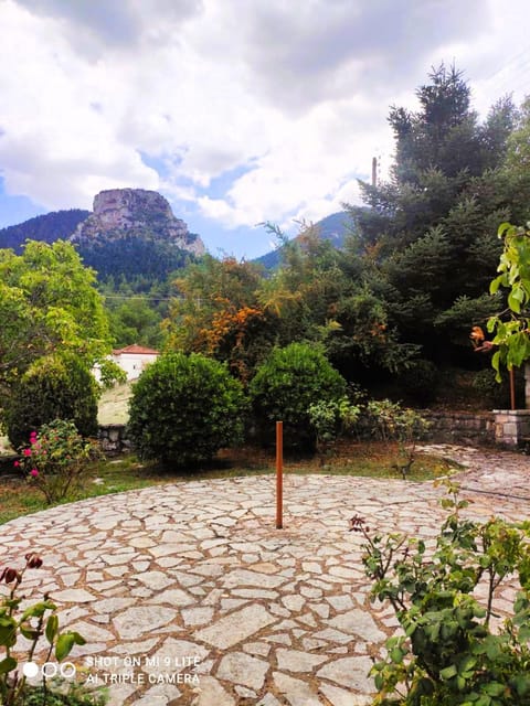 Garden, Garden view, Mountain view