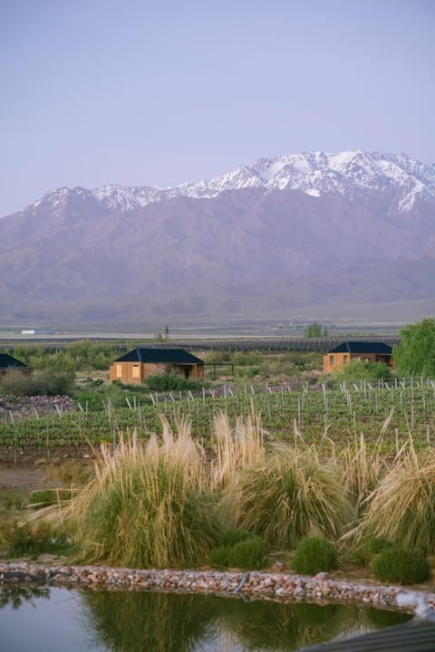 La Morada Lodge Bed and Breakfast in Mendoza Province Province