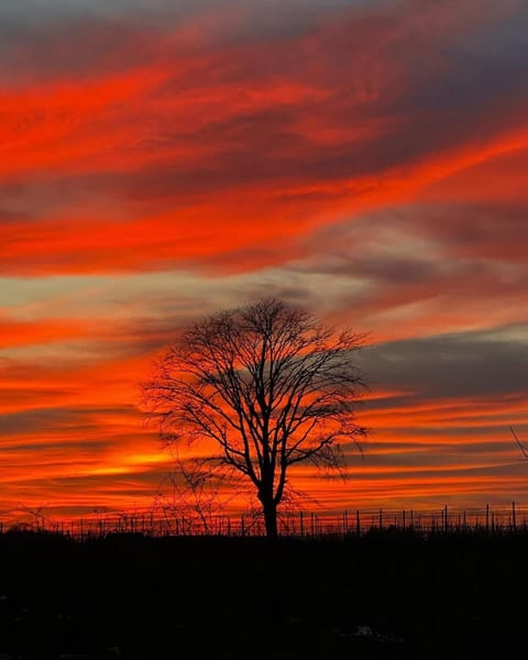 Sunset Suites in Niagara Wine Country House in Niagara-on-the-Lake