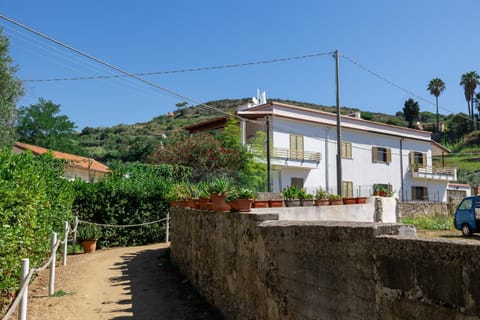 Property building, Natural landscape