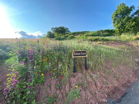 Usk View Glamping Caerleon Tienda de lujo in Newport