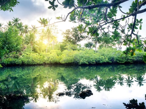 River view, Sunset