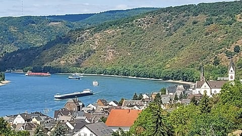 Natural landscape, River view