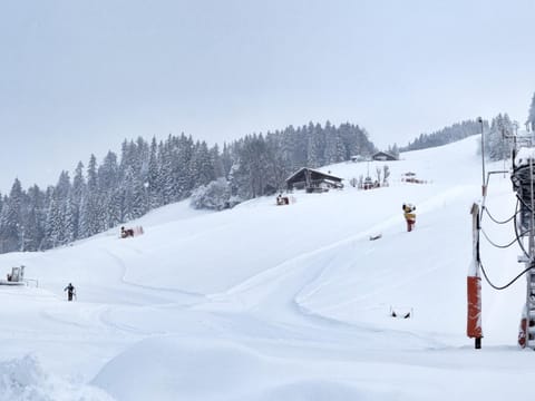 Chez Francine Apartment in Notre-Dame-de-Bellecombe