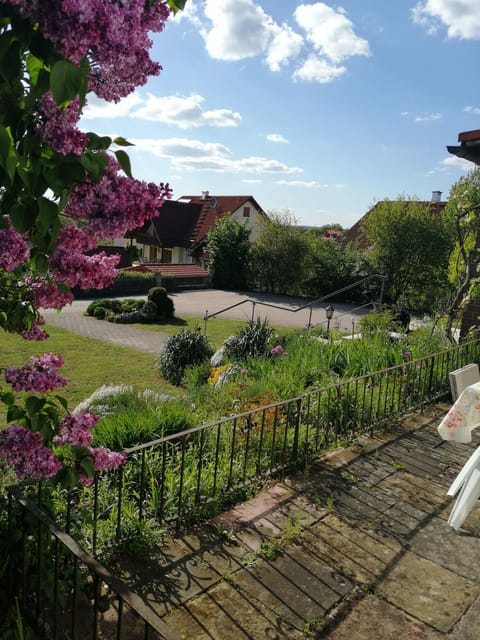 Spring, Day, Garden, Garden view