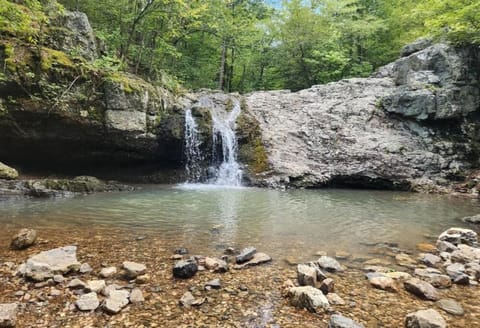 The Natural at 1611 Residences Apartment in Hot Springs