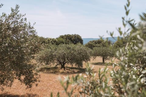 Bastide des Moulins House in Gordes