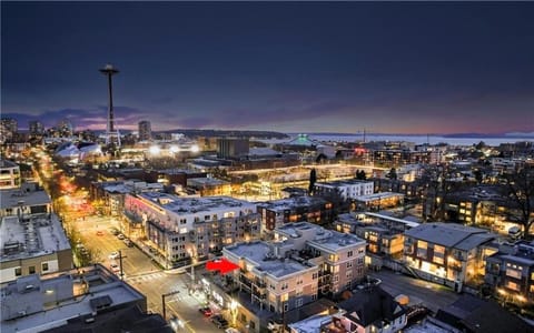 Night, City view, Street view, Location