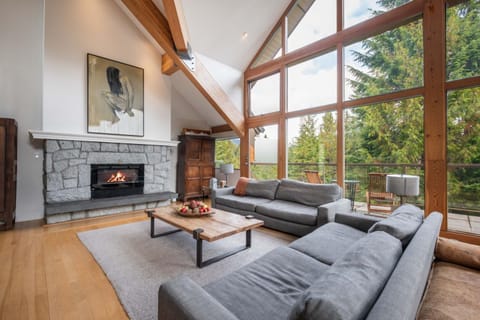 Living room, Mountain view, fireplace