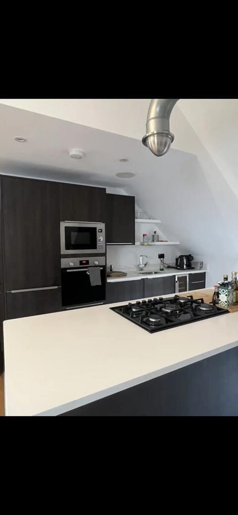 3 bedroom apartment Apartment in Croydon