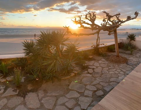 Garden, Beach, Sea view, Sunset