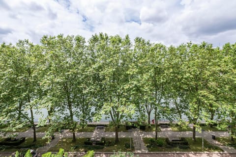 Lake view