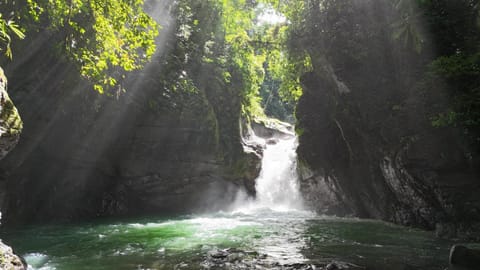 The Oasis, Jungle Sanctuary Hotel in Bahía Ballena