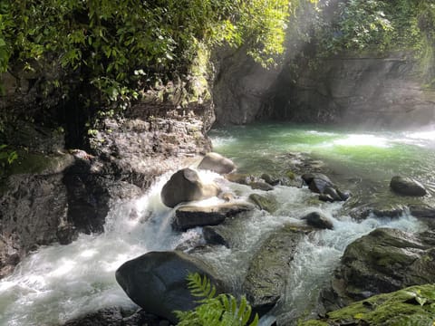 The Oasis, Jungle Sanctuary Hotel in Bahía Ballena