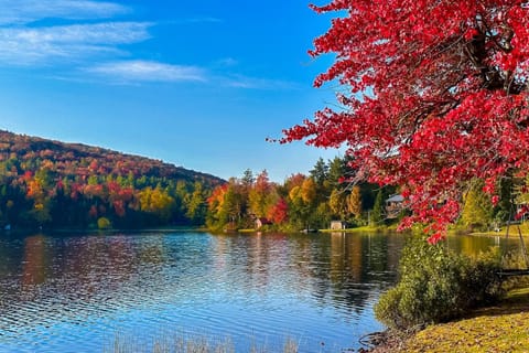 Serenity by the lake House in Orleans