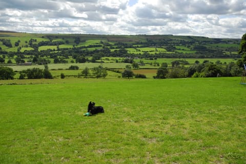 Raby cottage House in Wolsingham