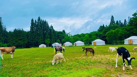 Mini Mongolian Campsite - Vacation STAY 84050v Campground/ 
RV Resort in Takayama