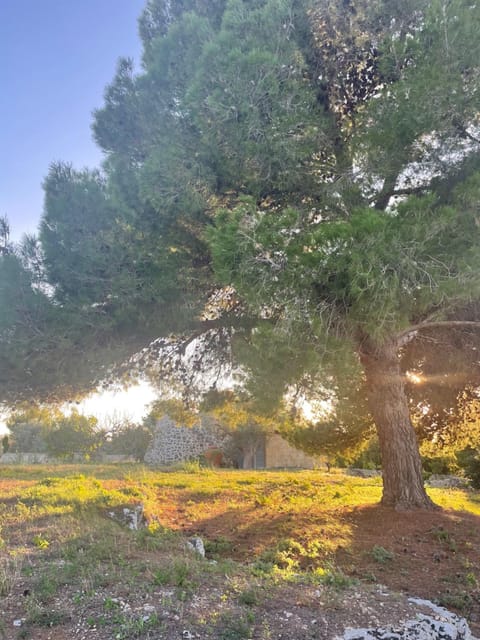 Trullo Nonno Nino Apartment in Nardò