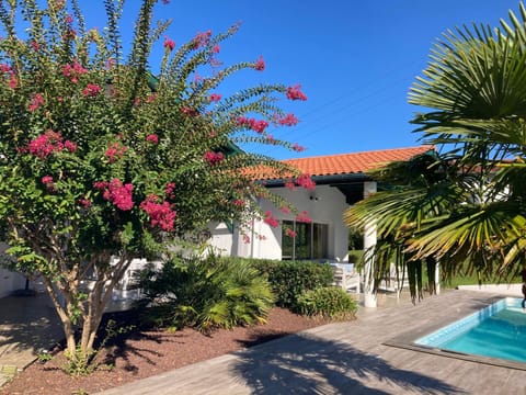 Property building, Garden, Pool view