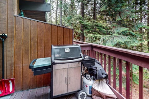 Peaceful Pine Retreat Apartment in Whitefish